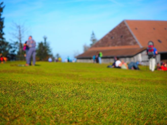 공시지가 이의신청 절차