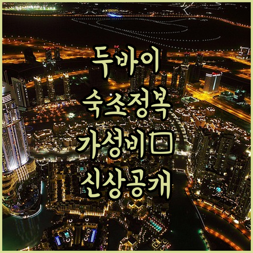 두바이 가성비 호텔부터 럭셔리 신상 ..