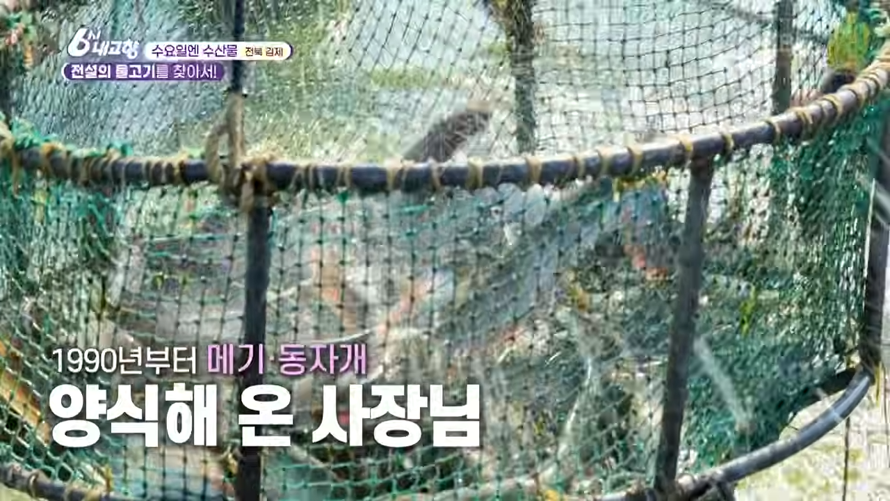 종어 관련 이미지 