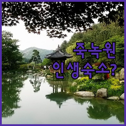 담양 숙소 추천 죽녹원 근처 가성비 ..