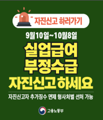 실업급여 부정수급 사례, 자진 신고, 처벌