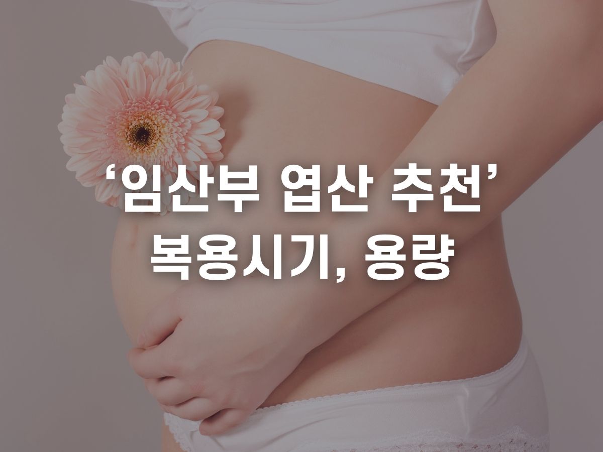 임산부 엽산 추천