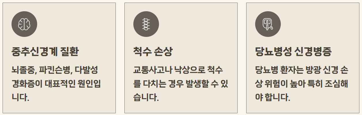 신경인성 방광 질환 원인