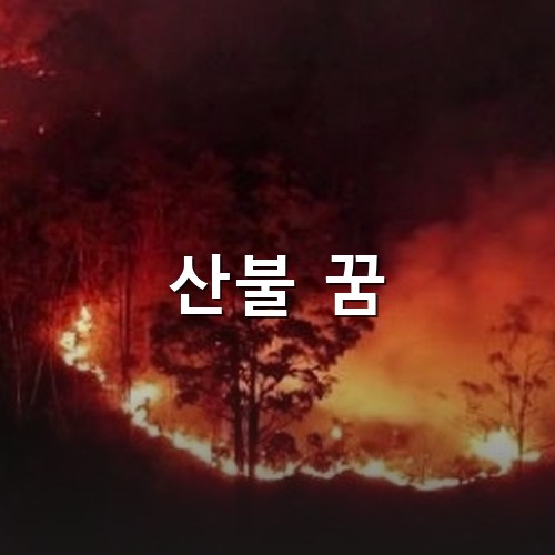 산불이-시뻘겋게-능선을-타고-번지는-모습