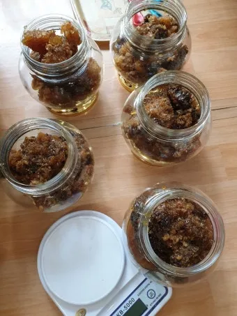 석청꿀 효능 7가지 보관방법 섭취 시 주의사항에 대해서 알아보기_19