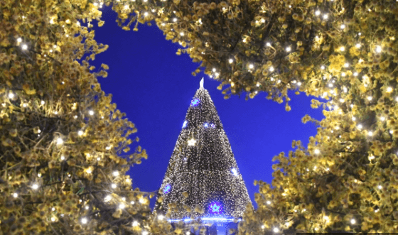 2025 함평 겨울빛축제