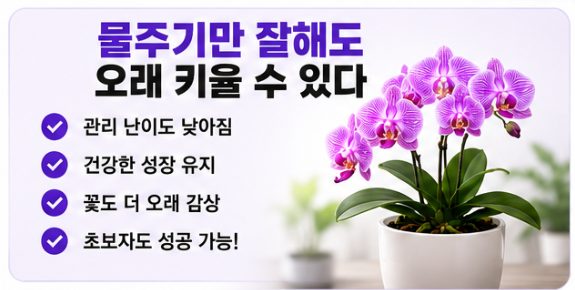 물주기만 잘해도 오래 키운다.