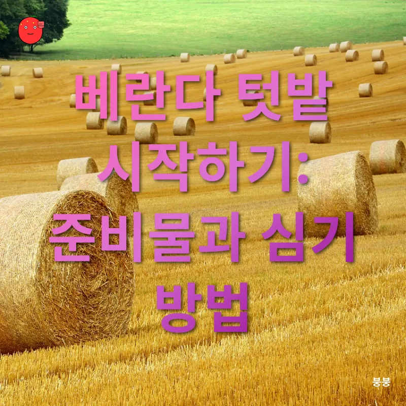 도시 농부의 기쁨_1