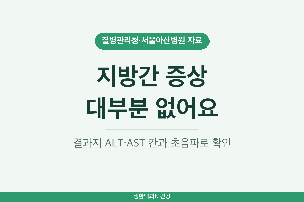 지방간 증상 대부분 없음 지방간 수치 ALT AST 초음파 확인