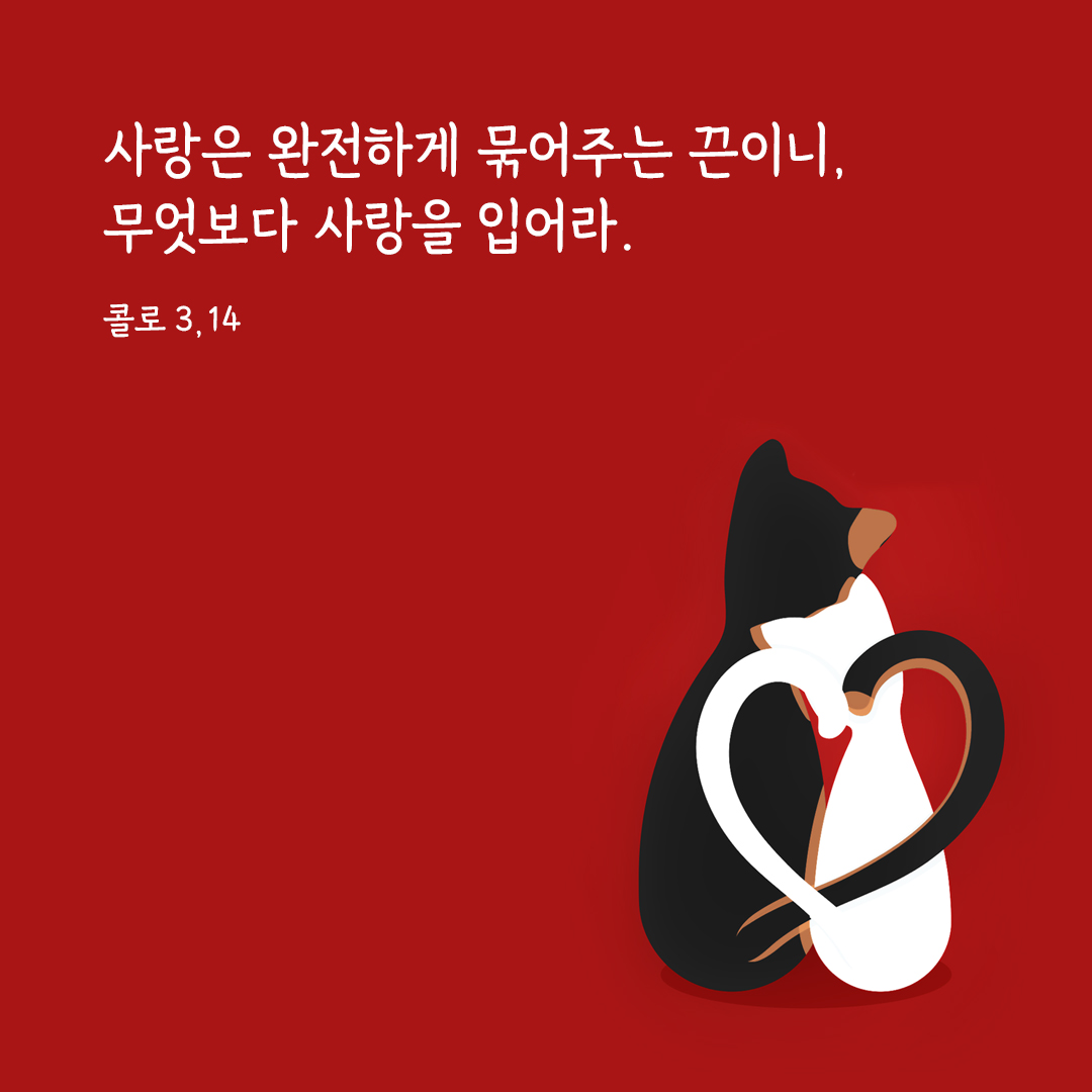 사랑은 완전하게 묶어주는 끈이니, 무엇보다 사랑을 입어라. (콜로 3,14) 콜로새서 성경 말씀 카드 이미지 다운로드