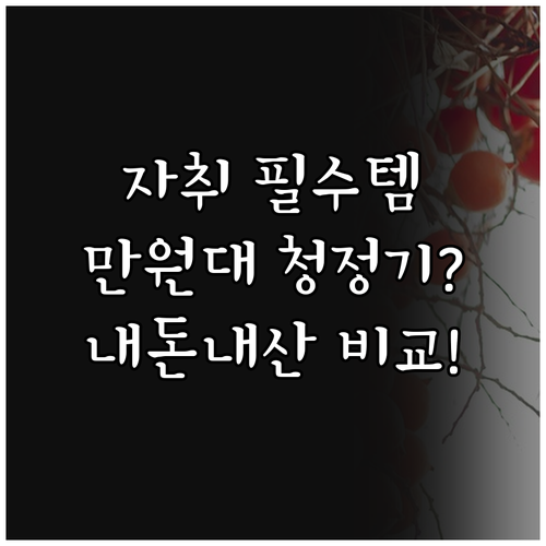 원룸 자취방 필수템 가성비 미니 공기..