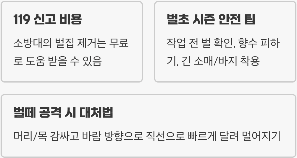 땅벌집 함부로 건드렸다간 목숨을 잃을 수 있습니다 (절대 혼자 제거 금지)