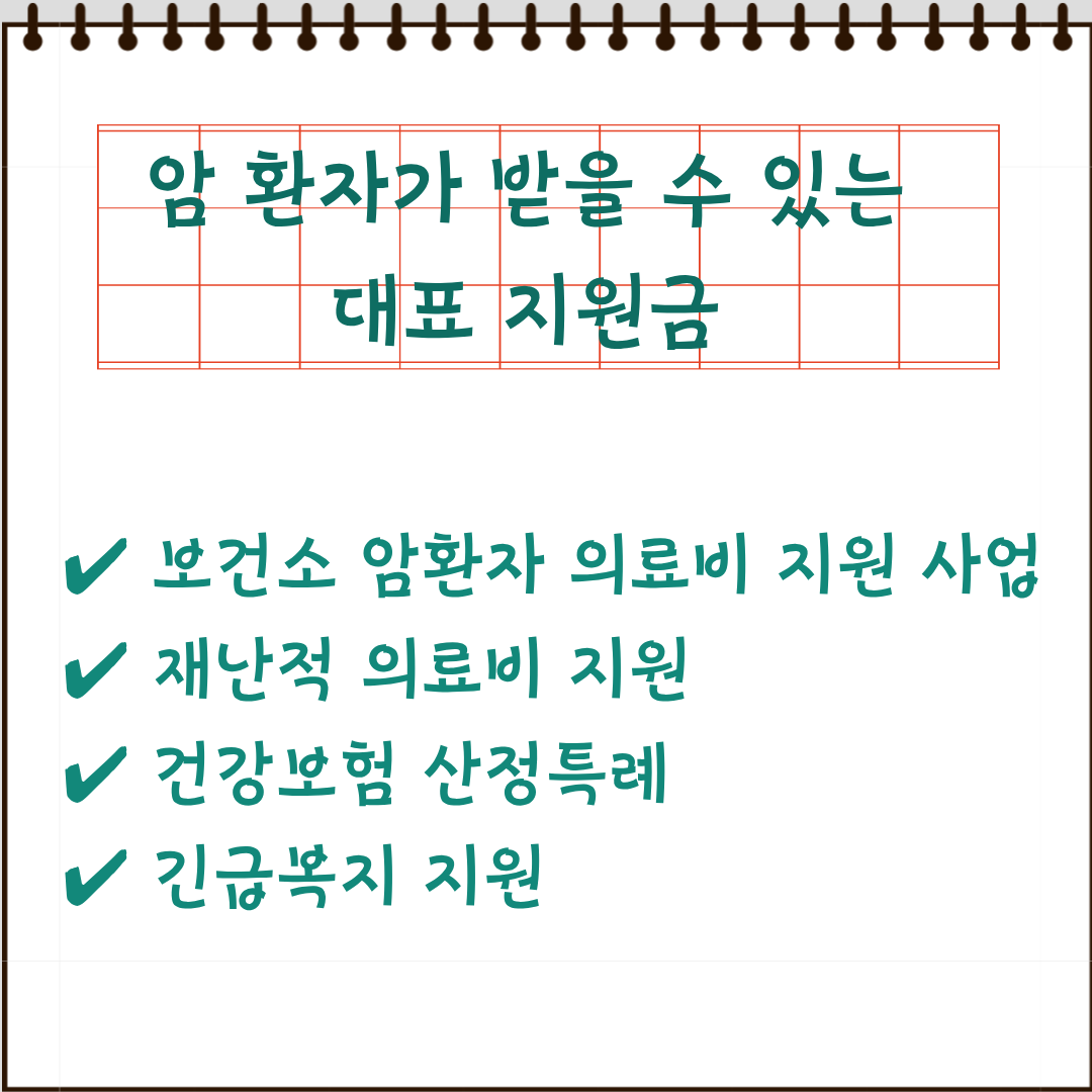 암환자 지원금 요약카드