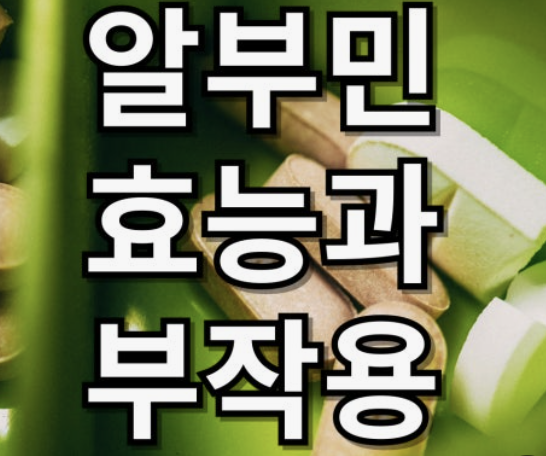 알부민의 효능