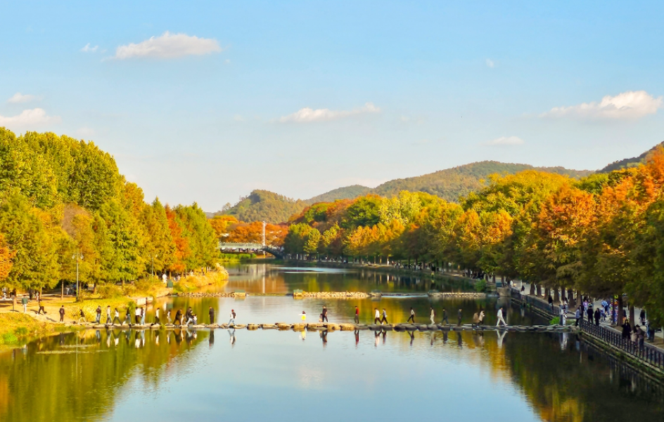 담양 관방제림1