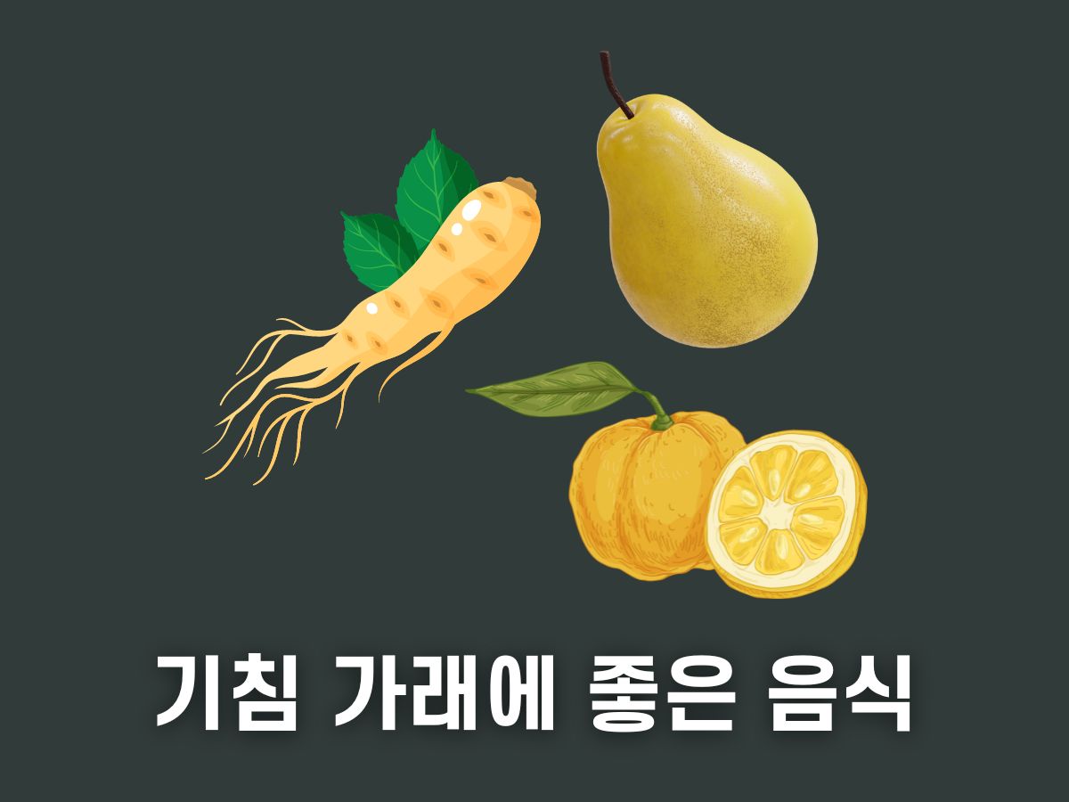 기침 가래에 좋은 음식
