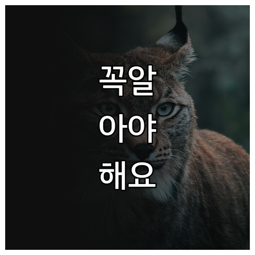 사업 재기 성공 2025 재해중소기업..