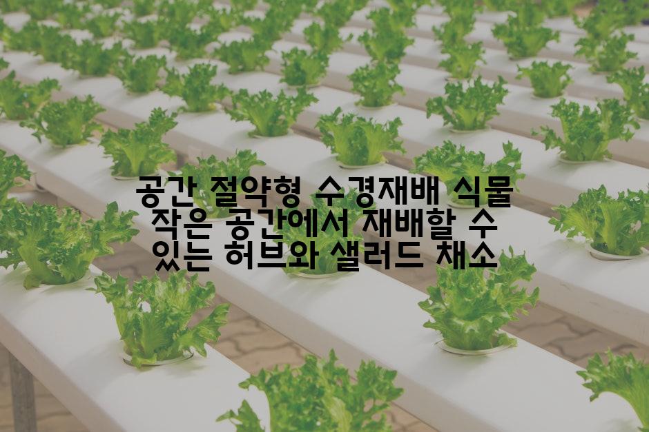 공간 절약형 수경재배 식물 작은 공간에서 재배할 수 있는 허브와 샐러드 채소