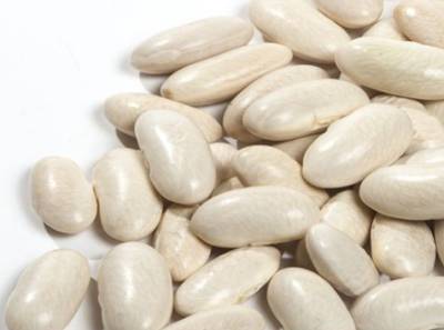 흰 강낭콩