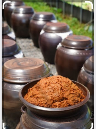 한국 된장의 역사