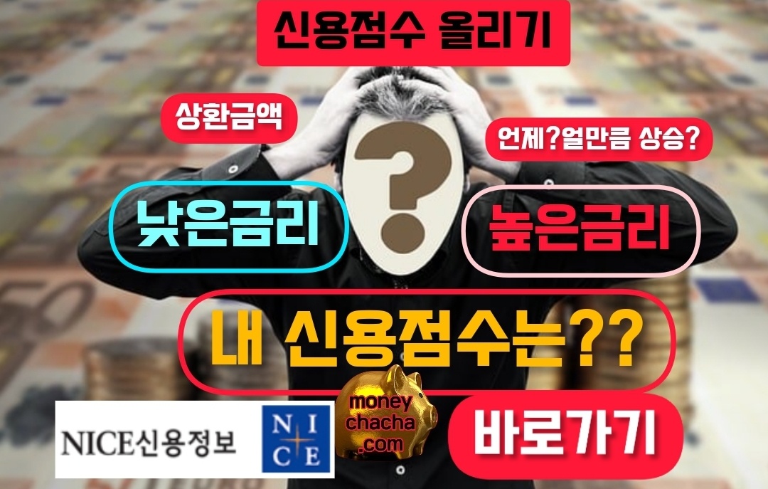 신용점수 올리기-나이스신용정보