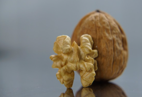 브레인 푸드의 대표주자, 호두: 두뇌 건강을 위한 자연의 선물