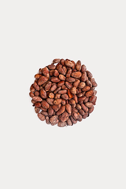 6. 코코아 플라바놀