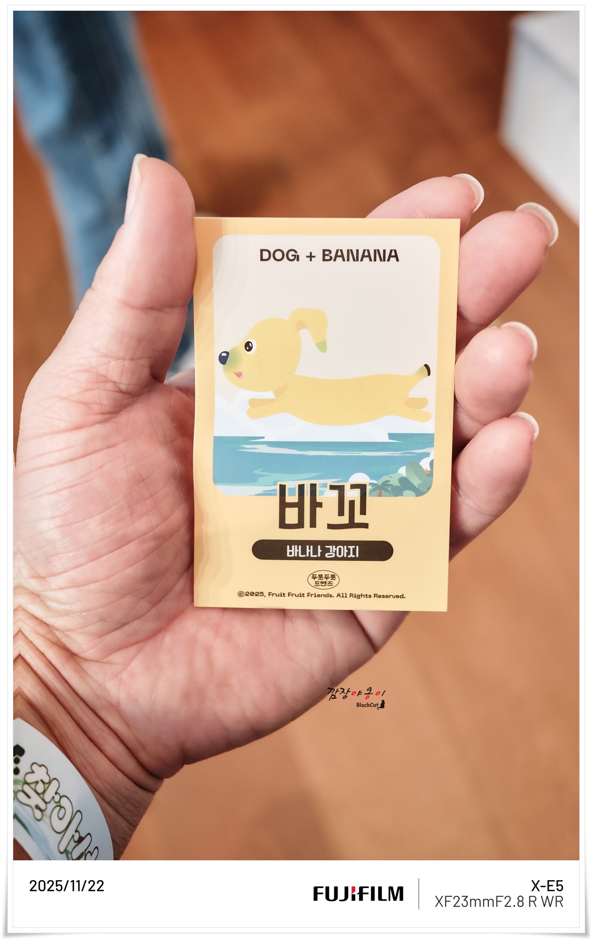 빠씨를 찾아서 바나나 강아지 바꼬 포토카드