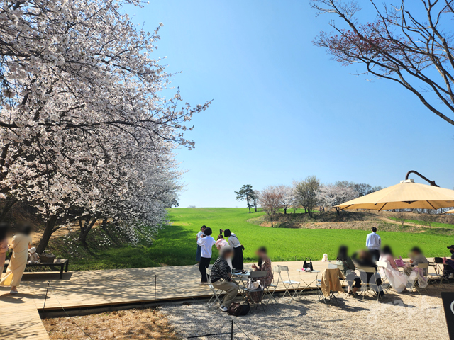 충남-당진-피어라-카페