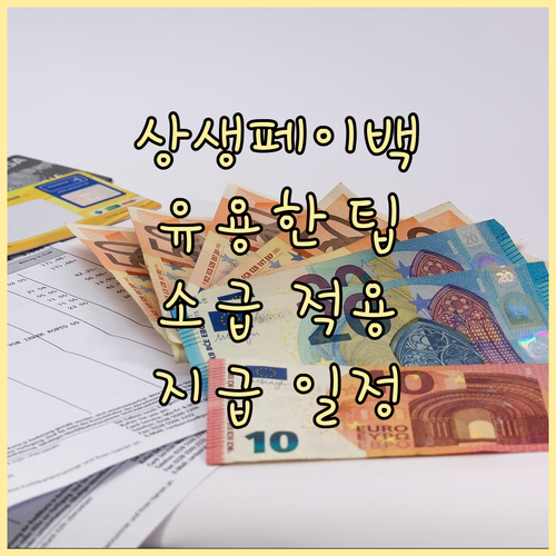 알아두면 유용한 상생페이백! 소급 적..