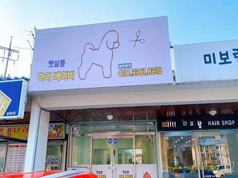 3.1 서비스 및 특징