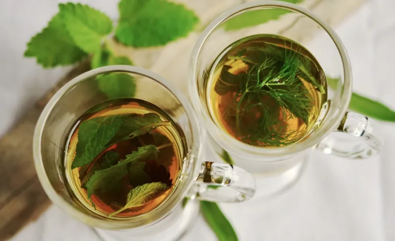 임신 중 마시면 좋은 차는?