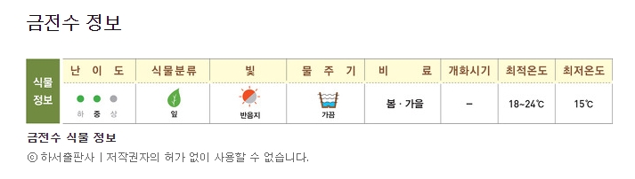 금전수 키우기 난이도 및 적정 온도
