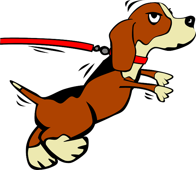 반려견의 문제 행동 관련 자료