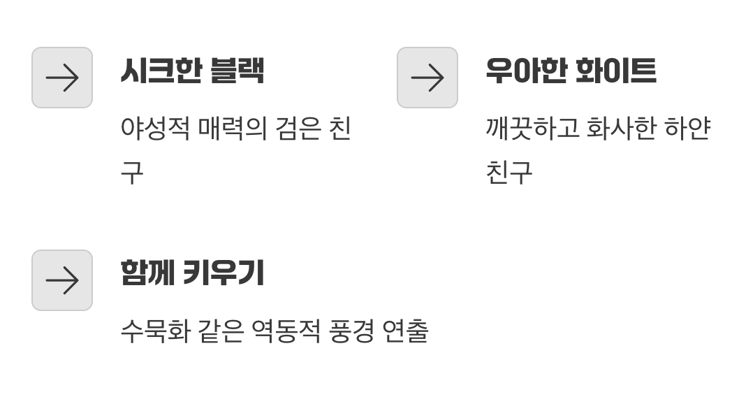 그래서, 당신의 선택은?