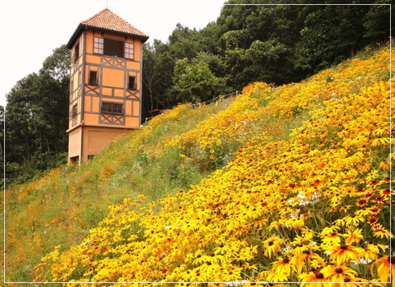 가평 가볼만한곳 베스트10 쁘띠프랑스 &amp; 이탈리아마을