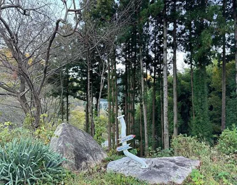 국립남해편백자연휴양림