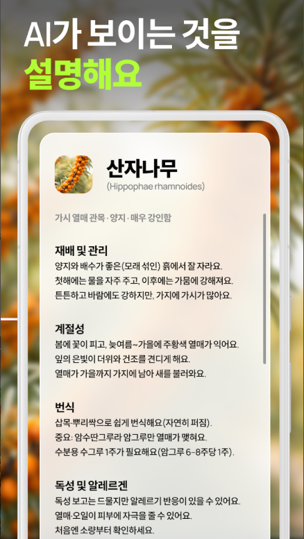 꽃이름 찾기 앱 설치 사용방법