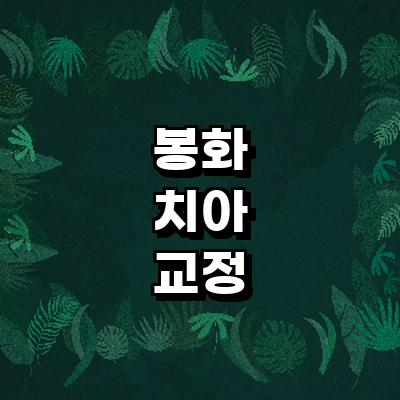 봉화군 교정 치과