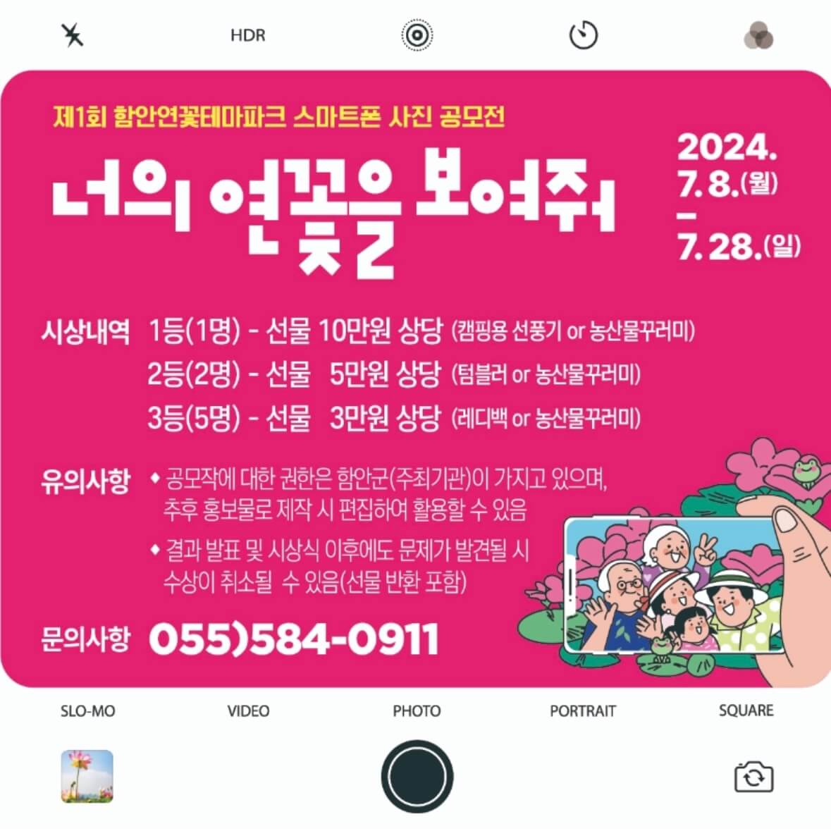 함안연꽃축제기간