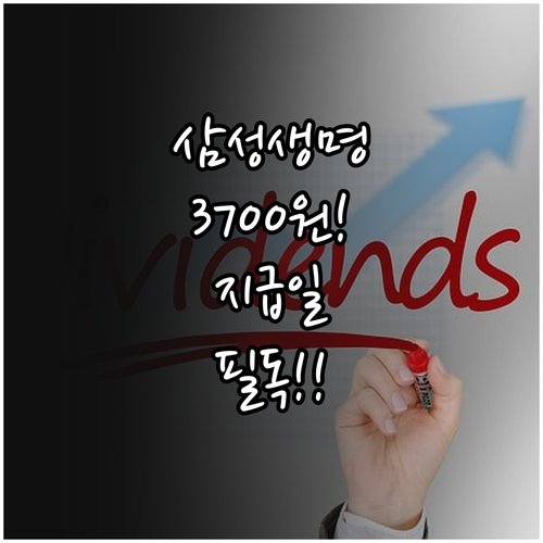 삼성생명 1주당 배당금 3700원 지..