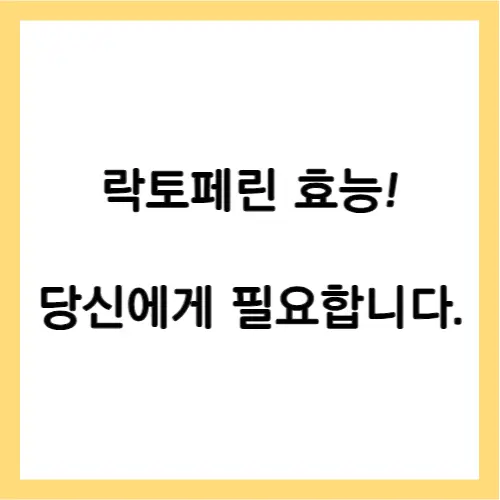 락토페린 효능