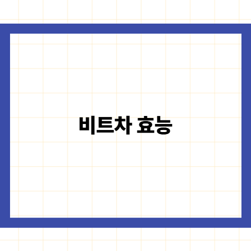 비트차 효능