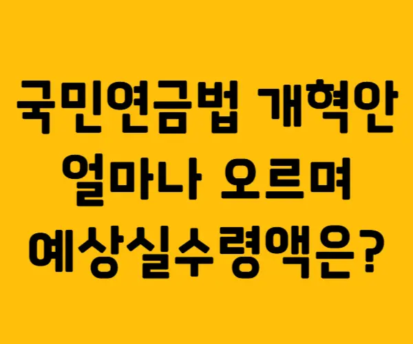 국민연금법