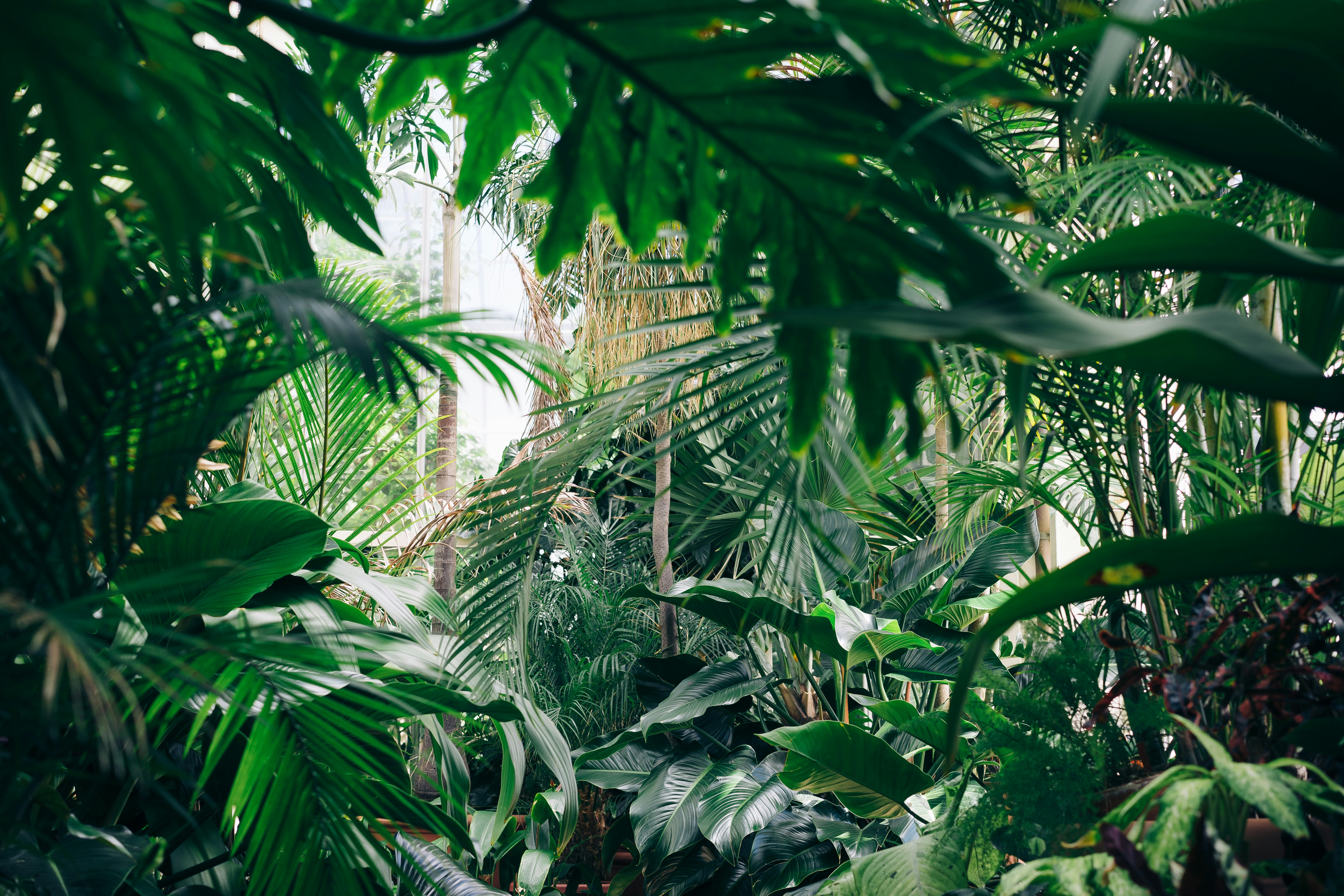 © Chris Abney, Unsplash