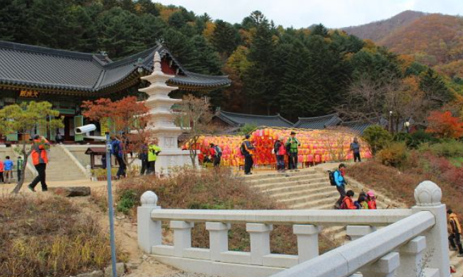 강원도 2025 단풍 산행 추천 코스 ❘ 설악산&middot;오대산&middot;치악산 절정 시기 안내