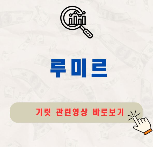 루미르 공모주