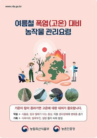 여름 고온기 관리 차광망 환기 관수 병해 예방 루틴_13