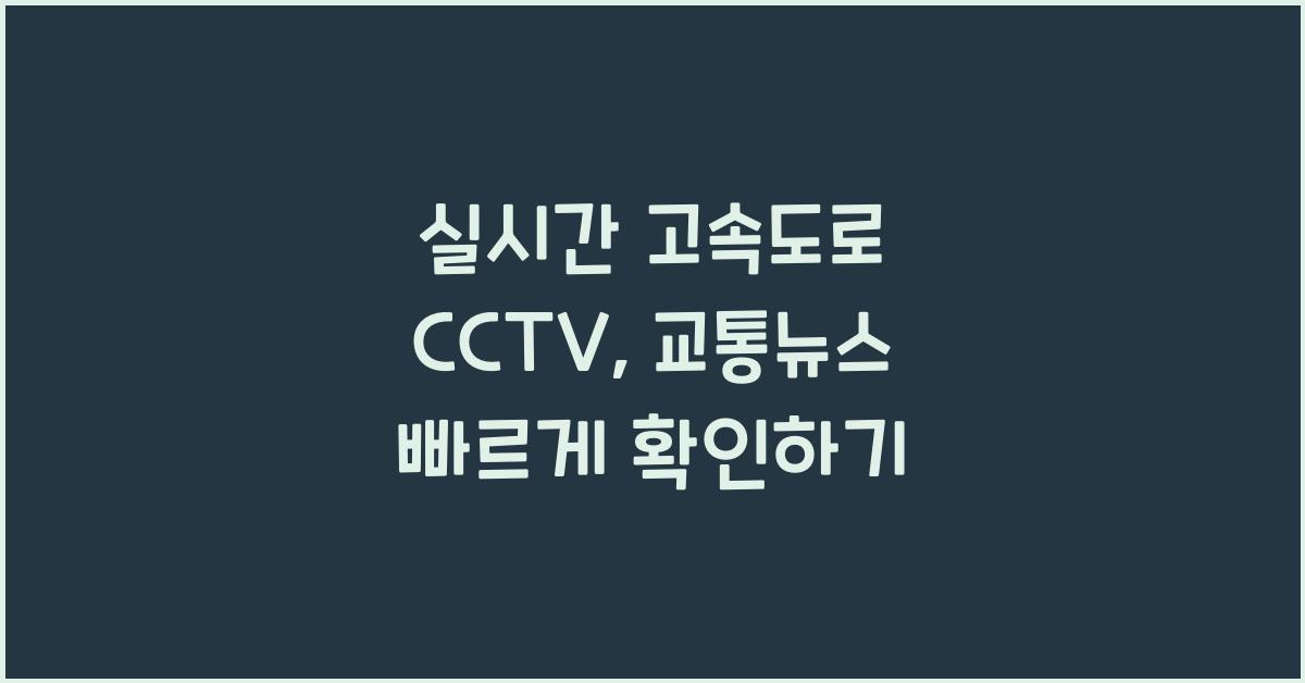 실시간 고속도로 cctv