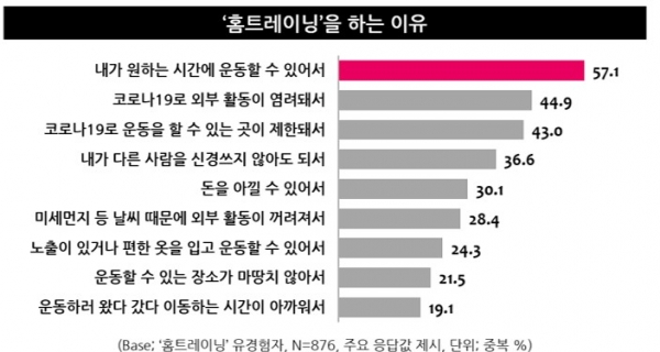 신체 건강 (Physical Wellness) – 운동 루틴 & 홈트레이닝 완벽 가이드